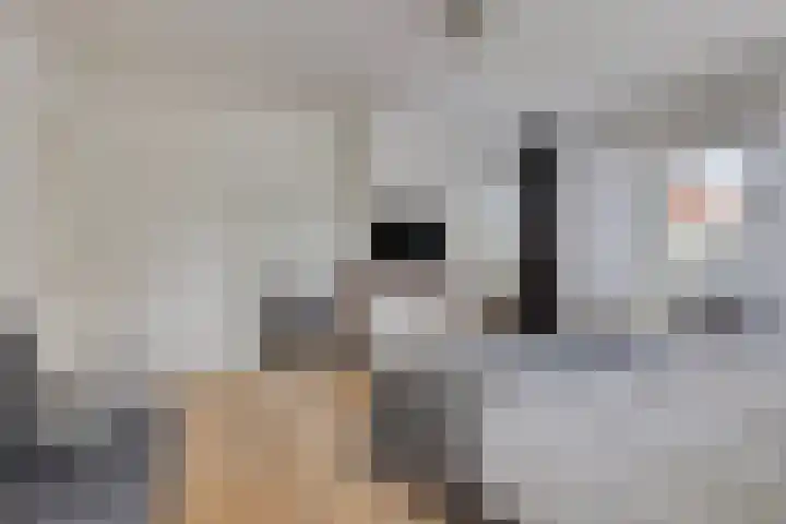 Westwal 2 Goes thumbnail 20