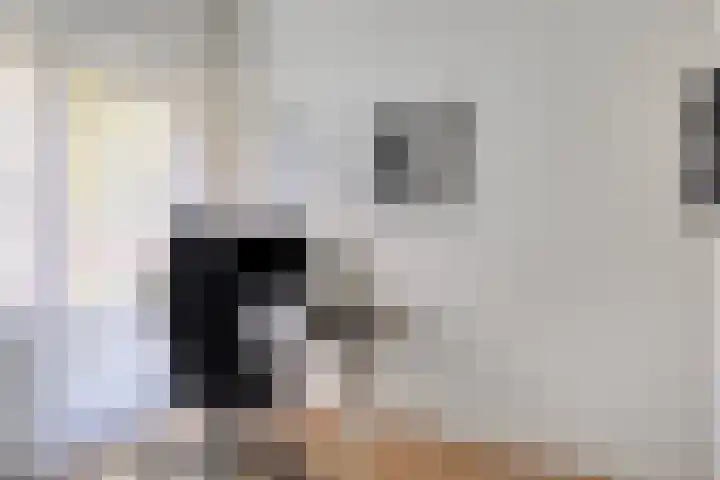 Westwal 2 Goes thumbnail 27