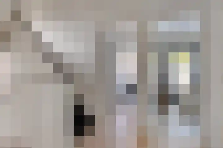 Westwal 2 Goes thumbnail 28