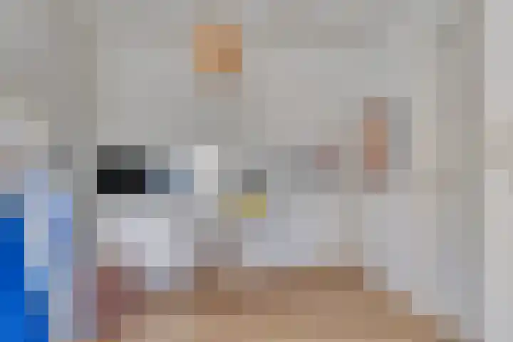 Westwal 2 Goes thumbnail 36