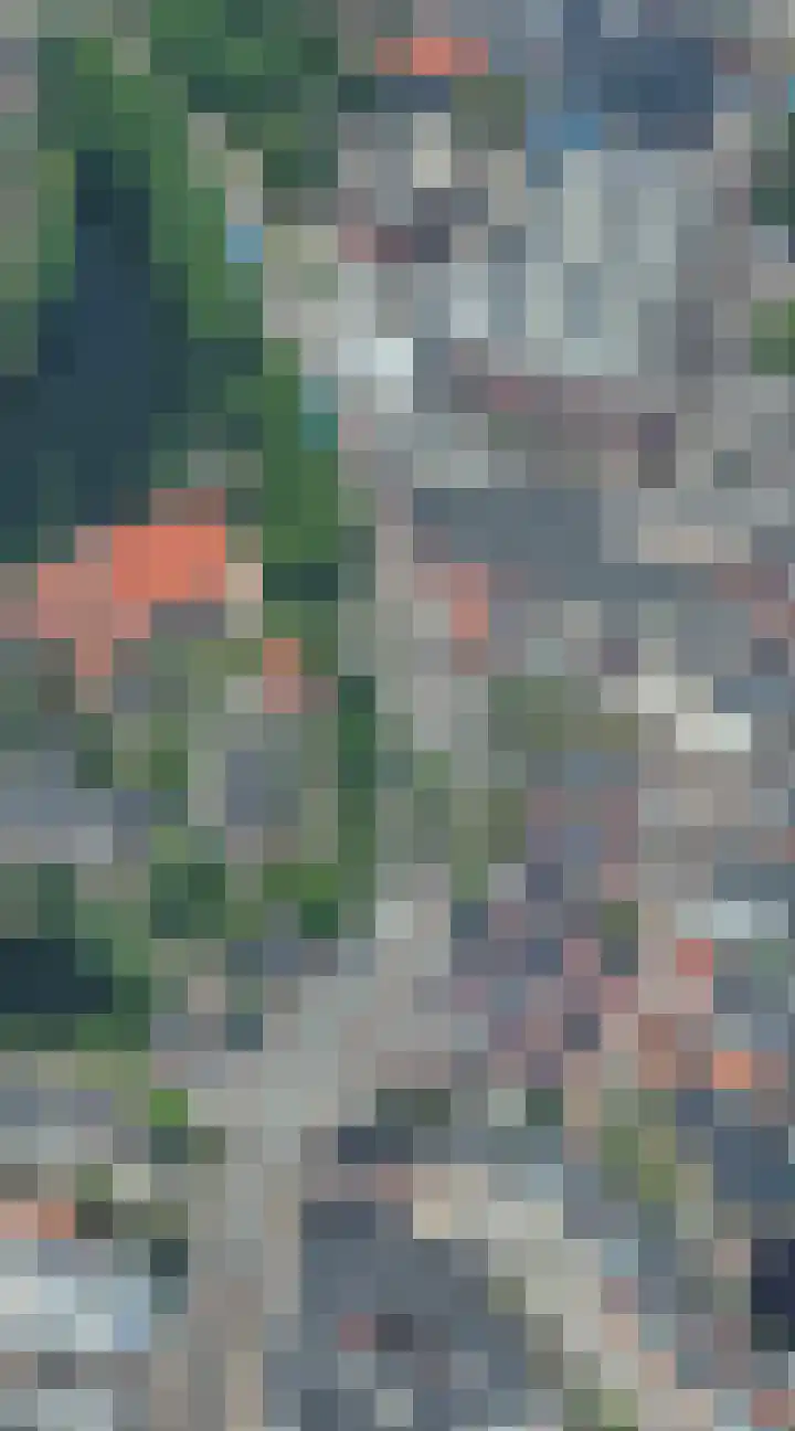 Westwal 2 Goes thumbnail 37