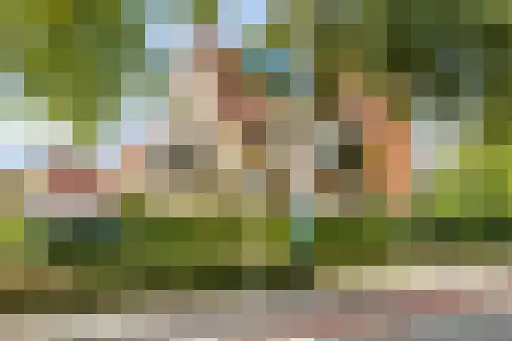 Westwal 2 Goes thumbnail 41