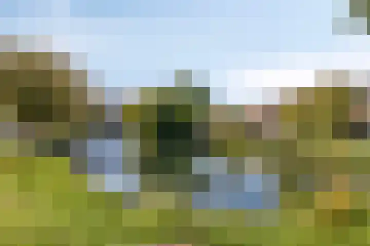 Westwal 2 Goes thumbnail 42