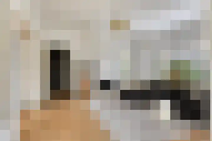 Westwal 2 Goes thumbnail 8