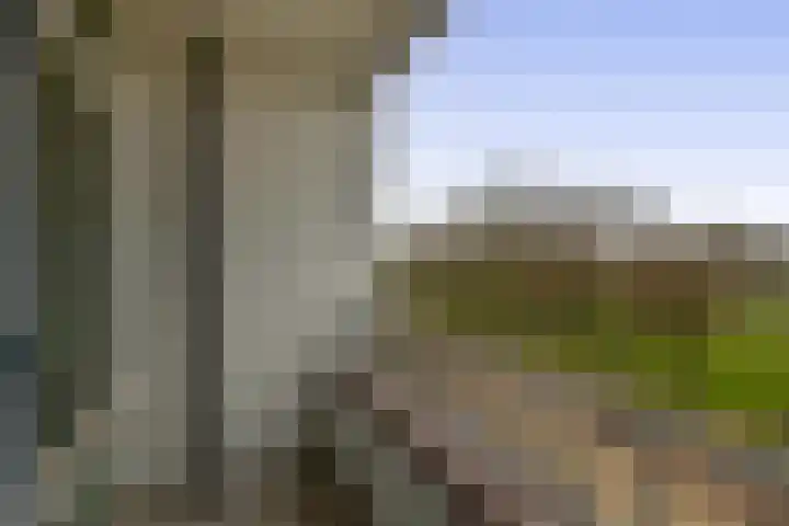 Westzeedijk 186 Rotterdam thumbnail 19