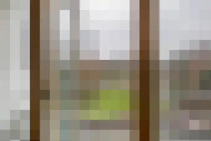 Westzeedijk 186 Rotterdam thumbnail 20