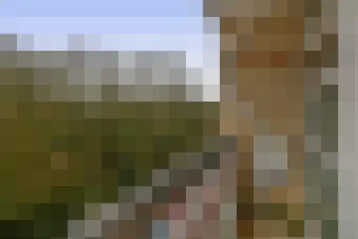 Westzeedijk 186 Rotterdam thumbnail 27