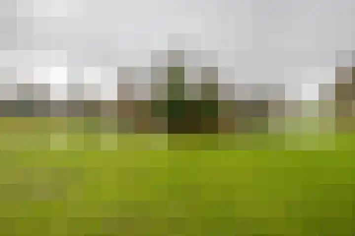 Westzeedijk 186 Rotterdam thumbnail 40