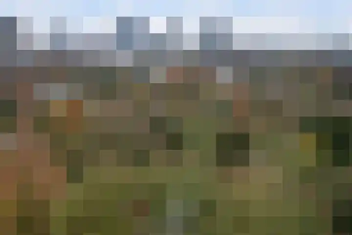 Westzeedijk 220 Rotterdam thumbnail 29