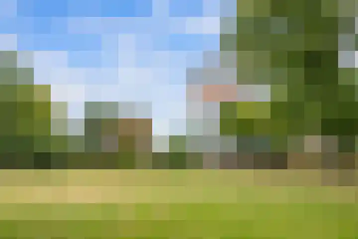 Westzeedijk 220 Rotterdam thumbnail 32