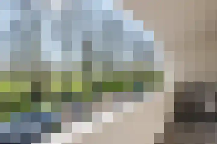 Wetering 14 Bodegraven thumbnail 33
