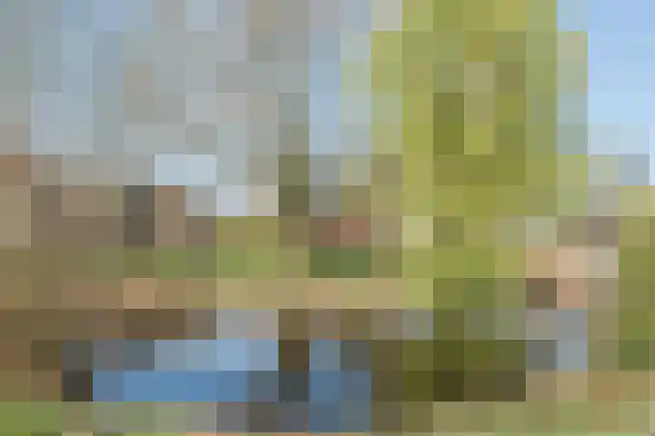 Wetering 14 Bodegraven thumbnail 47