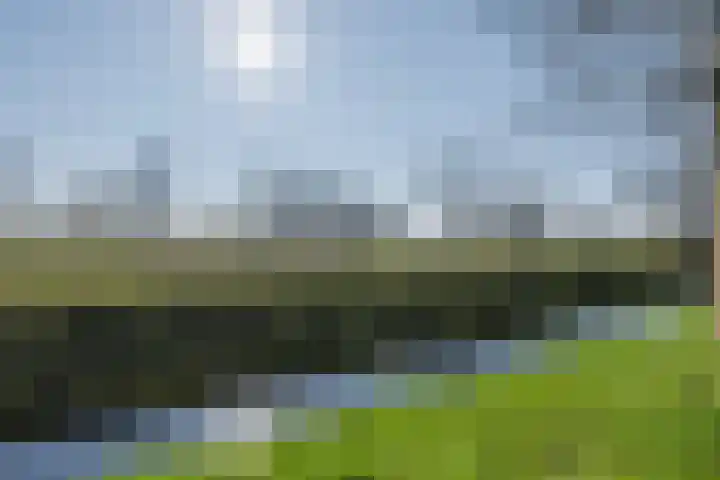 Wetering 14 Bodegraven thumbnail 48