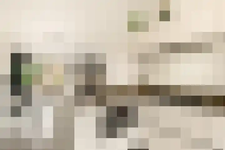 Wetering 16 Spaarndam thumbnail 23