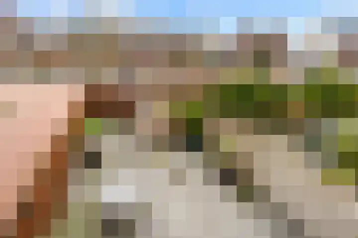 Wetering 16 Spaarndam thumbnail 30