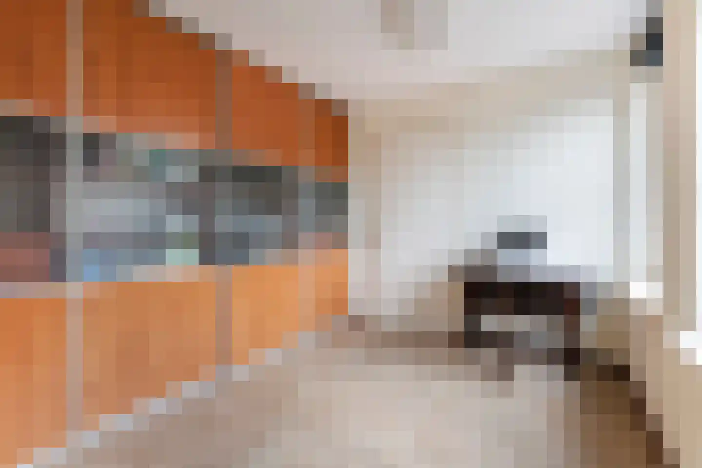 Wetering 29 Giessenburg thumbnail 14