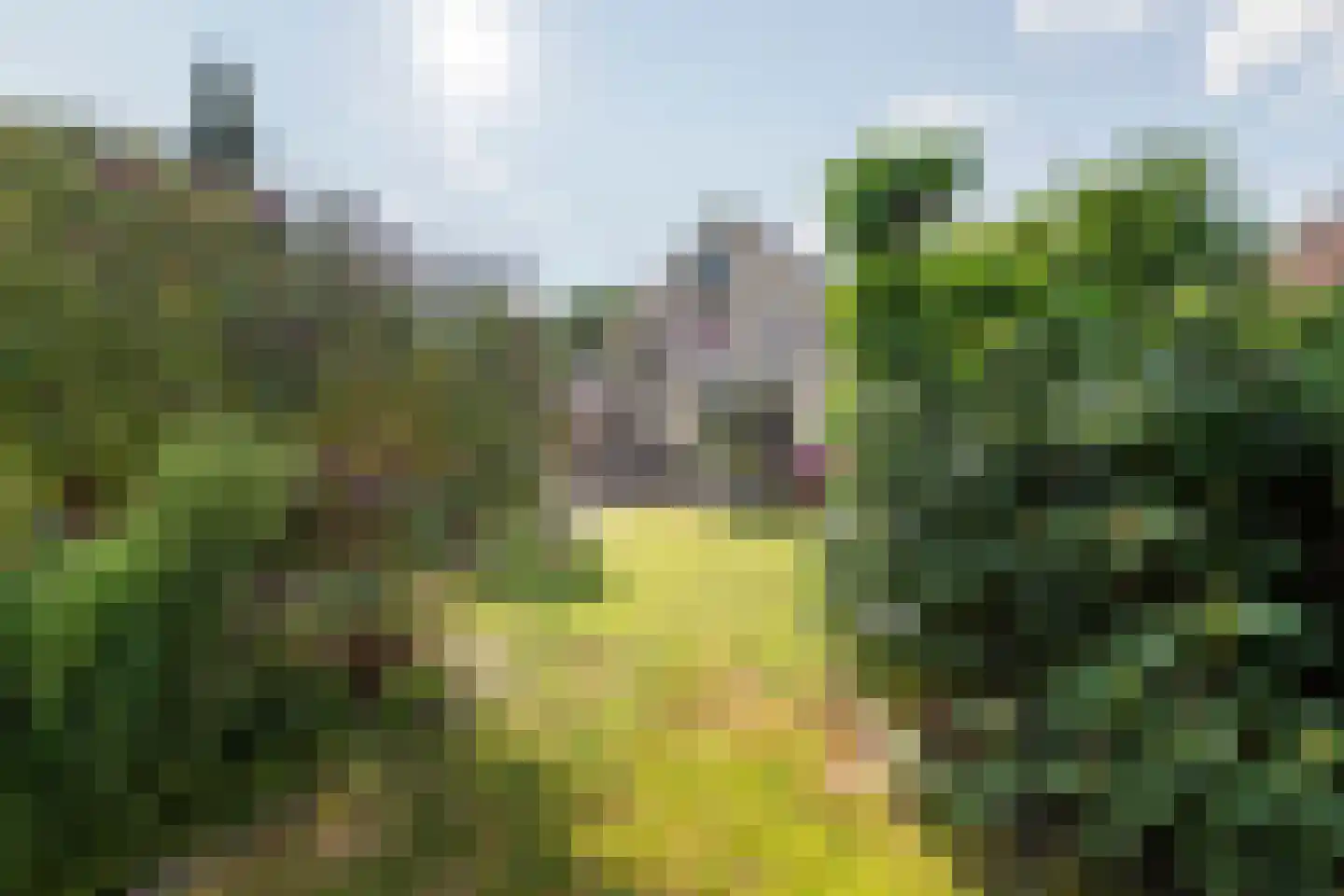 Wetering 29 Giessenburg thumbnail 31