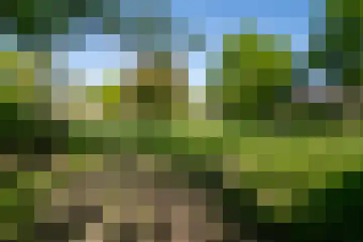 Wetering 61 Blaricum thumbnail 21
