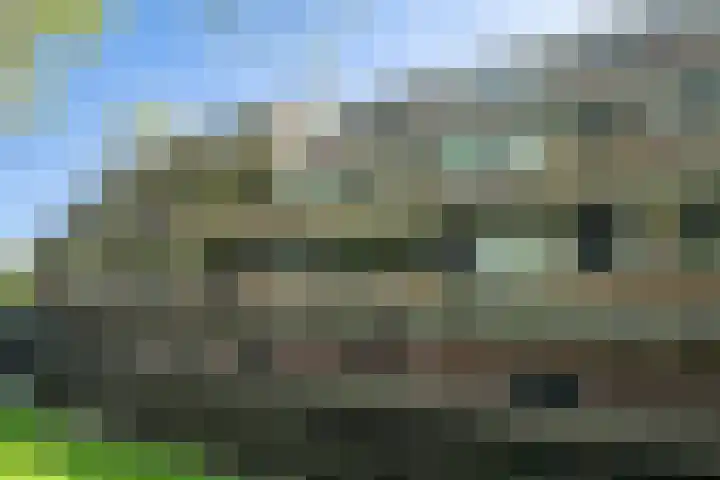 Wetering 61 Blaricum thumbnail 24