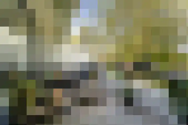 Wetering 61 Blaricum thumbnail 4