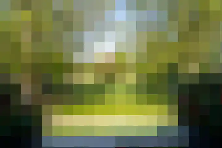 Wetering 61 Blaricum thumbnail 5
