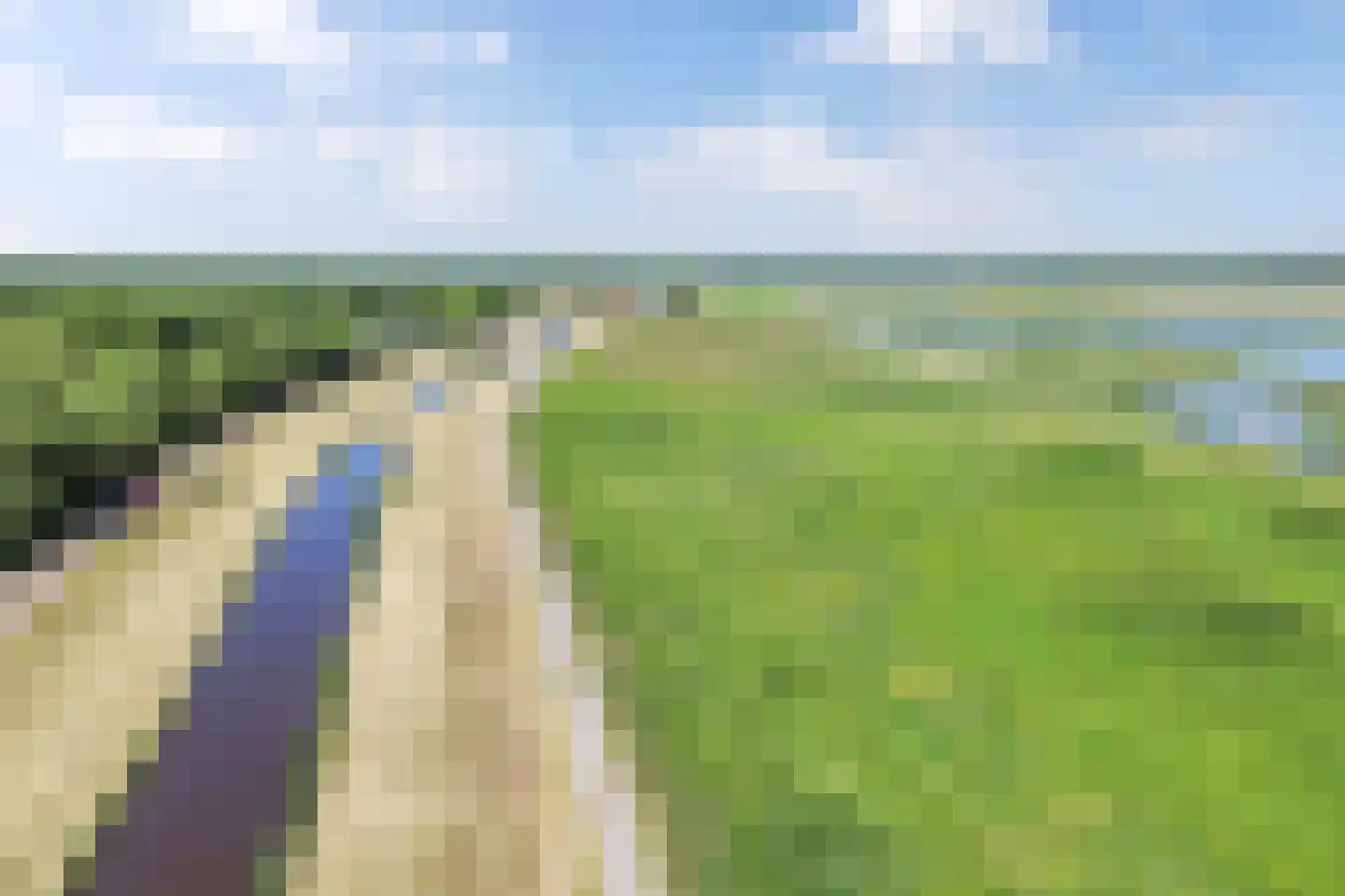Wetering-Oost 52 Wetering thumbnail 65
