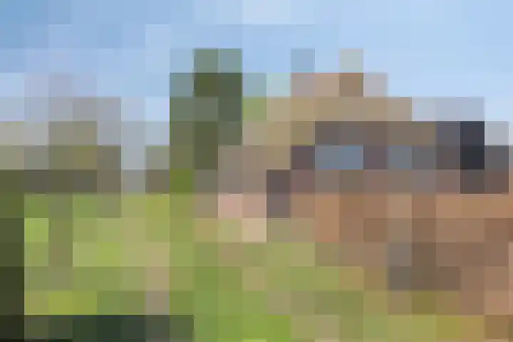 Weteringdijk 10 in Heerde