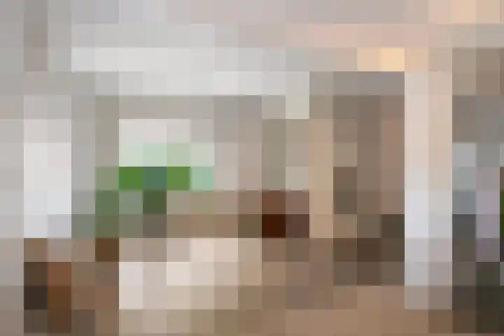 Weteringdijk 18 Epe thumbnail 31