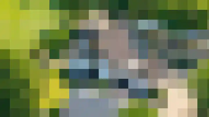 Weteringdijk 18 Epe thumbnail 4