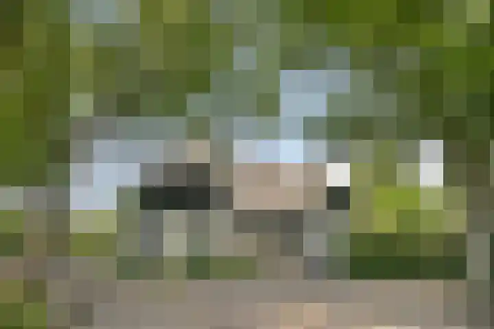 Weteringdijk 18 Epe thumbnail 5