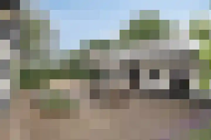 Weteringdijk 18 Epe thumbnail 54