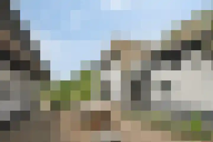 Weteringdijk 18 Epe thumbnail 55