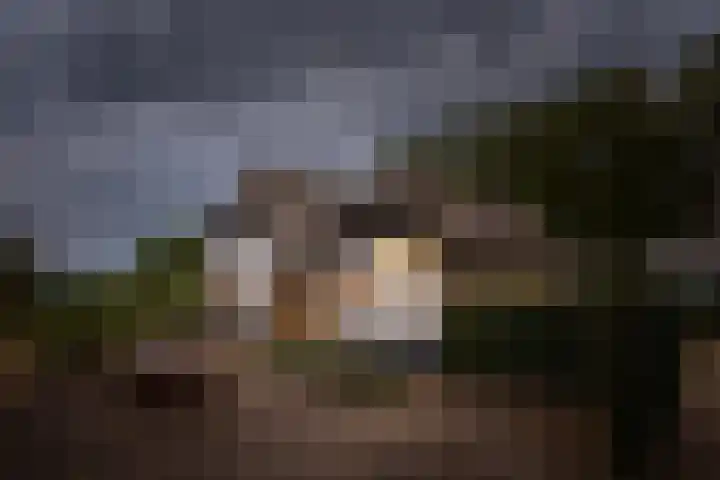 Weteringdijk 18 Epe thumbnail 56