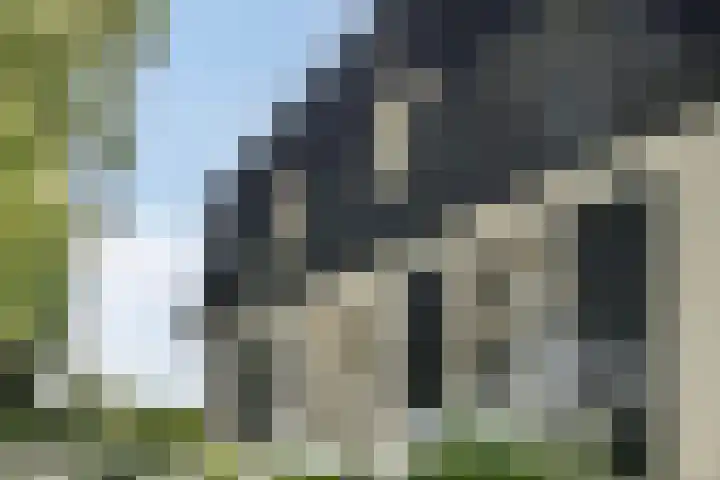 Weteringdijk 18 Epe thumbnail 59