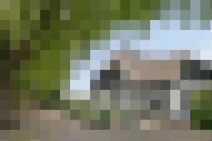Weteringdijk 18 Epe thumbnail 6