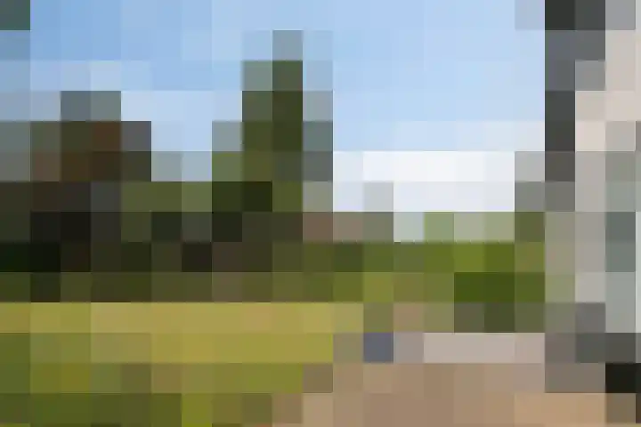 Weteringdijk 18 Epe thumbnail 61