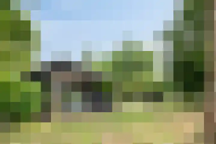 Weteringdijk 18 Epe thumbnail 62