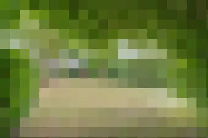 Weteringdijk 18 Epe thumbnail 64