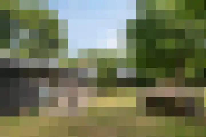 Weteringdijk 18 Epe thumbnail 65