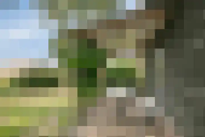 Weteringdijk 18 Epe thumbnail 68