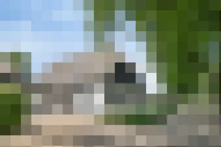 Weteringdijk 18 Epe thumbnail 7