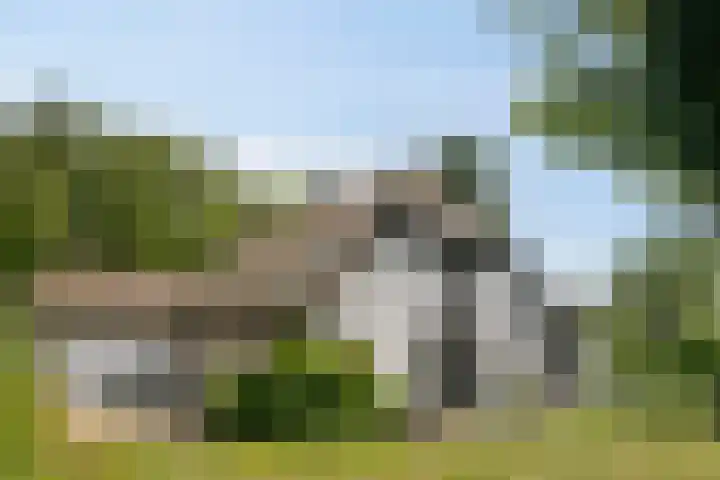 Weteringdijk 18 Epe thumbnail 84