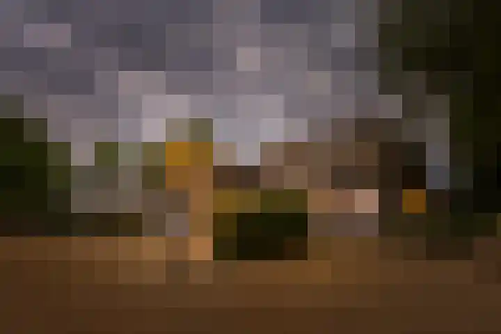 Weteringdijk 18 Epe thumbnail 85