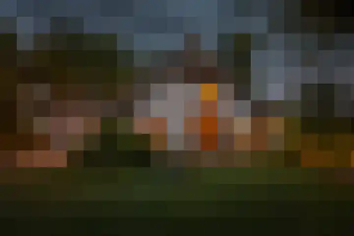 Weteringdijk 18 Epe thumbnail 86