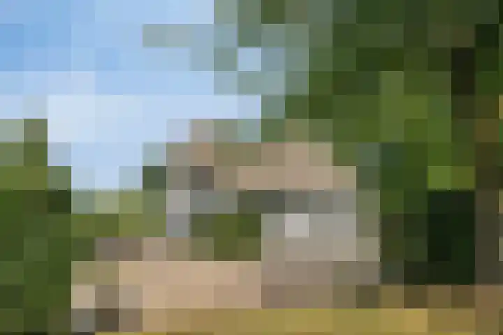 Weteringdijk 18 Epe thumbnail 88