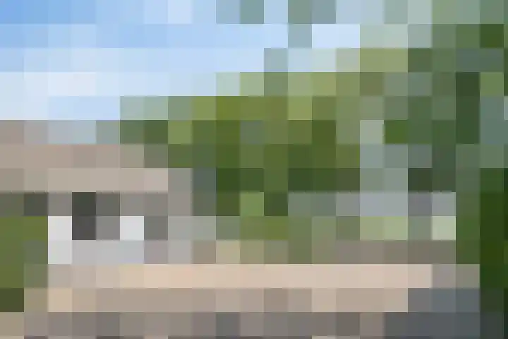 Weteringdijk 18 Epe thumbnail 89