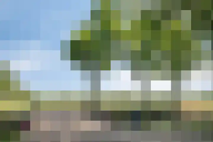 Weteringdijk 18 Epe thumbnail 93