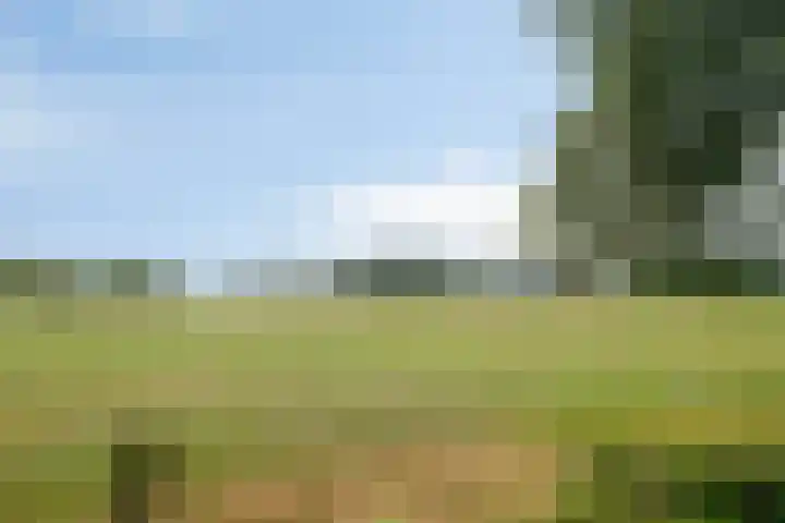 Weteringdijk 18 Epe thumbnail 94