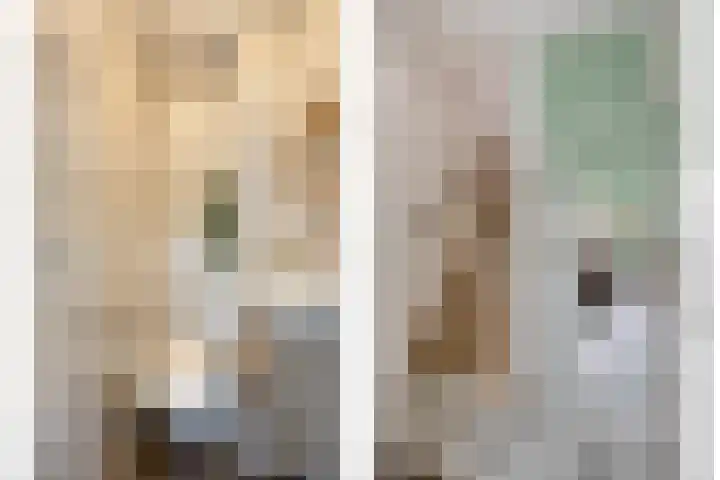 Weteringdreef 2 Zoetermeer thumbnail 8