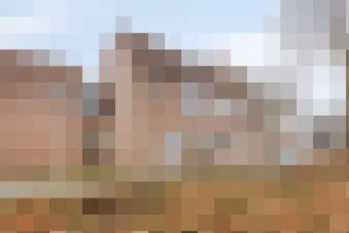Weteringdreef 2 Zoetermeer thumbnail 9